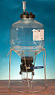Fermenters & Carboys