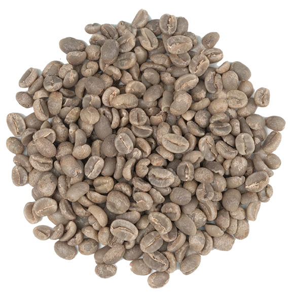 2 Lbs. Nicaragua Estate