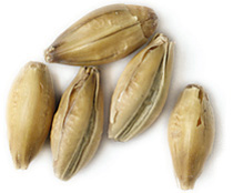 55 Lbs.  Maris Otter Malt (Actual Shipping Item)