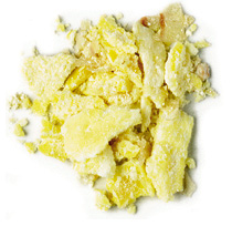 10 Pounds Flaked Corn