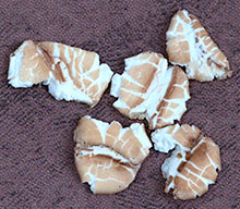 1 Lb Flaked White Wheat