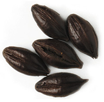 580 L. Roast Barley Malt