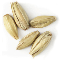 4 L. Weyermann Vienna Malt