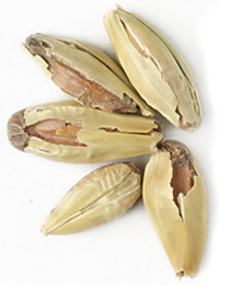 10 L. Weyermann Munich Malt 