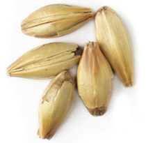 60 L. Great Western Crystal Malt