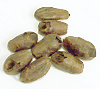 45 L. German Carawheat Malt