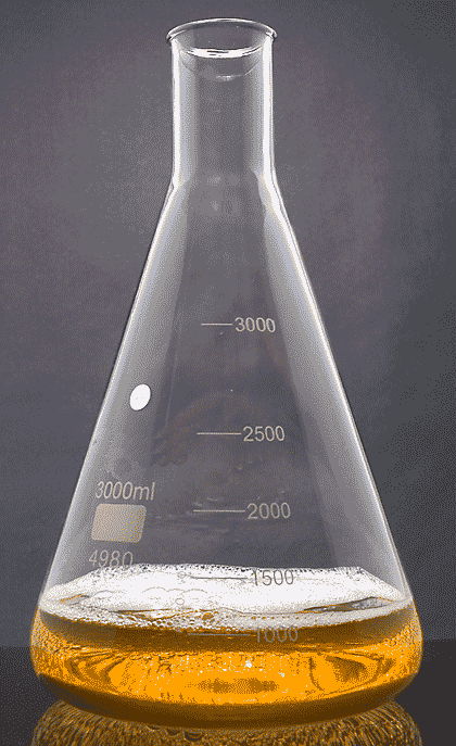 3000 ml Erlenmeyer Flask