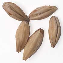 2 L. German Rauch Malt 