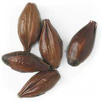 420 L. German Carafa Special II Malt