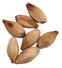 45 L Crisp Crystal Malt