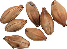 77 L. Crisp Crystal Malt