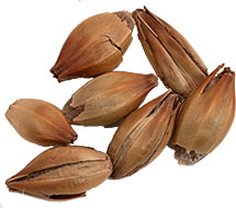 120 L. Crisp Crystal Malt