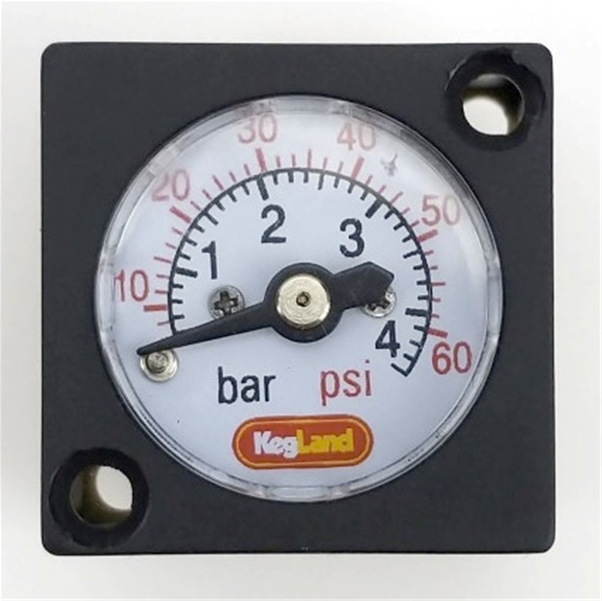 Mini Regulator Gauge 0-60 PSI