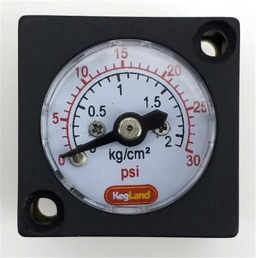 Mini Regulator Gauge 0-30 PSI