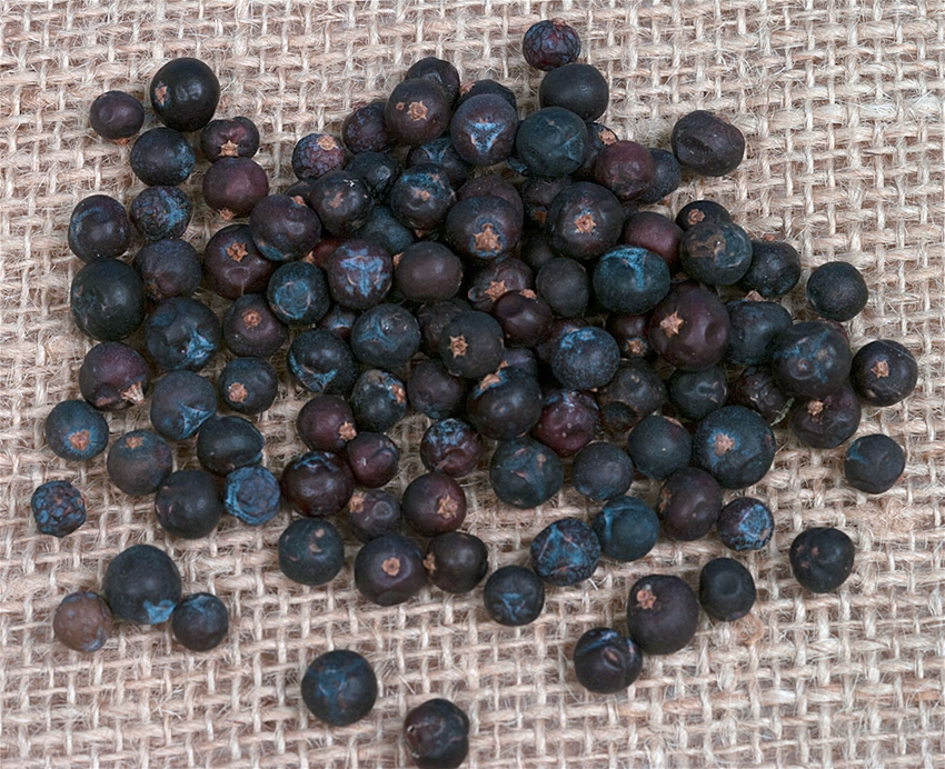4 Oz. Juniper Berries