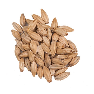 10 Lbs. Gambrinus ESB Pale Malt