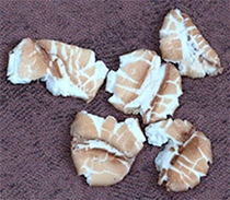 50 Pounds Flaked Wheat (Actual Shipping Item)