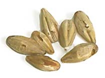 20 L. Belgian Aromatic Malt