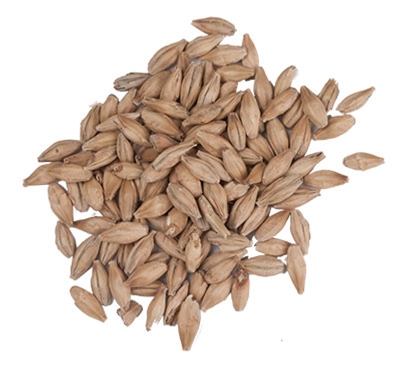 10 Lbs. Dingemans Pilsen Malt