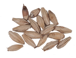 10 Lbs. 5 L.  Malteurop Light Munich Malt