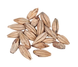 10 Lbs. 10 L.  Malteurop Munich Malt