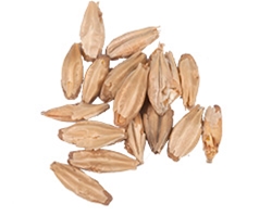 10 Lbs.  4 L.  Great Western Vienna Malt