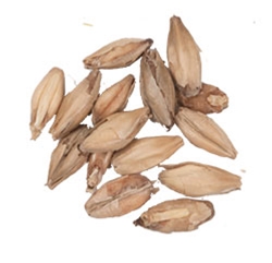 10 Lbs. Rahr North Star Pils Malt