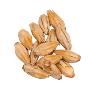 10 Lbs Weyermann® Barke® Munich Malt 