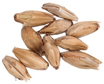 1.8 L. Great Western Two Row Malt