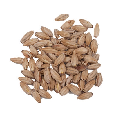 10 lbs. Weyermann® Isaria 1924® Malt