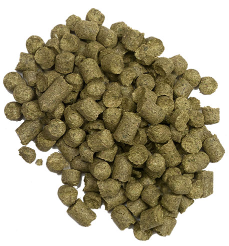 Czech Saaz Hop Pellets